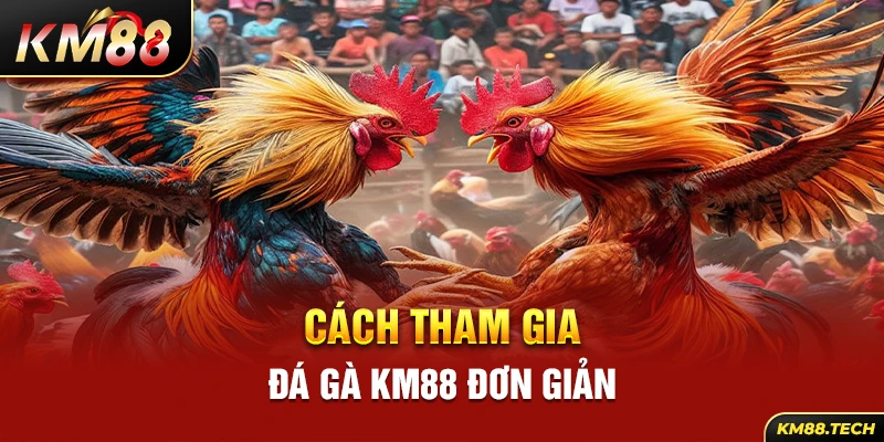 Cách tham gia đá gà KM88 đơn giản