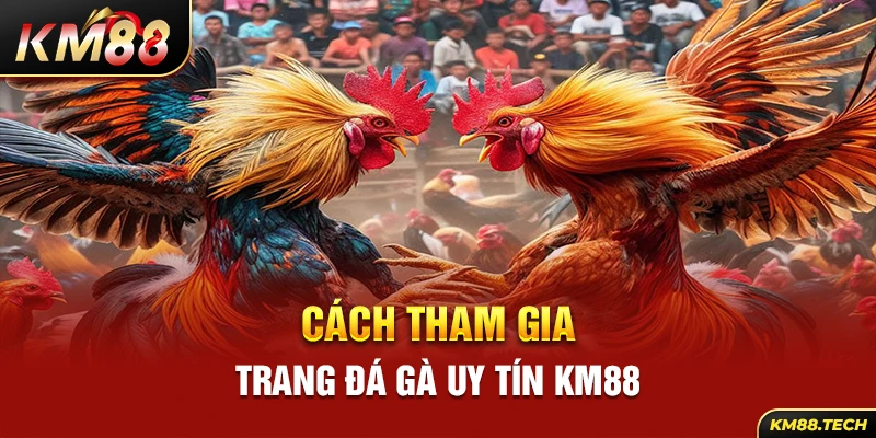 Cách tham gia trang đá gà uy tín KM88