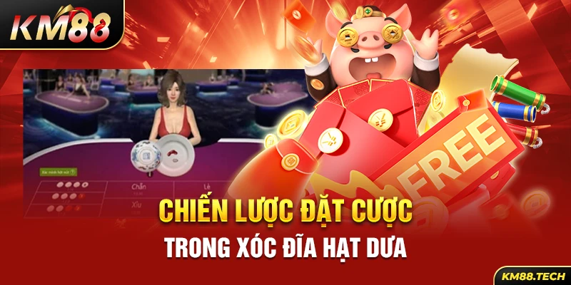 Chiến lược đặt cược trong xóc đĩa hạt dưa