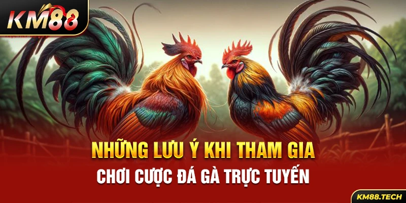 Những lưu ý khi tham gia chơi cược đá gà trực tuyến