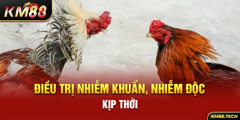 Điều trị nhiễm khuẩn, nhiễm độc kịp thời