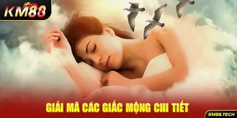 Giải mã các giấc mộng chi tiết 