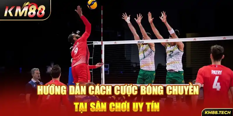 Hướng dẫn cách cược bóng chuyền tại sân chơi uy tín