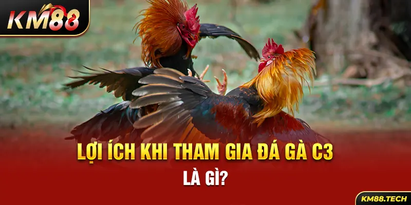 Lợi ích khi tham gia đá gà C3 là gì?