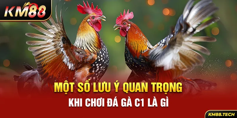 Một số lưu ý quan trọng khi chơi đá gà C1 là gì