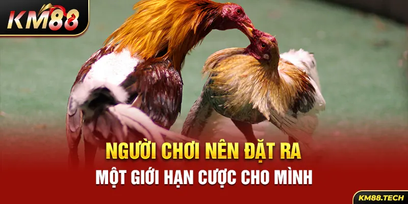 Đặt ra một giới hạn cá cược cho mình