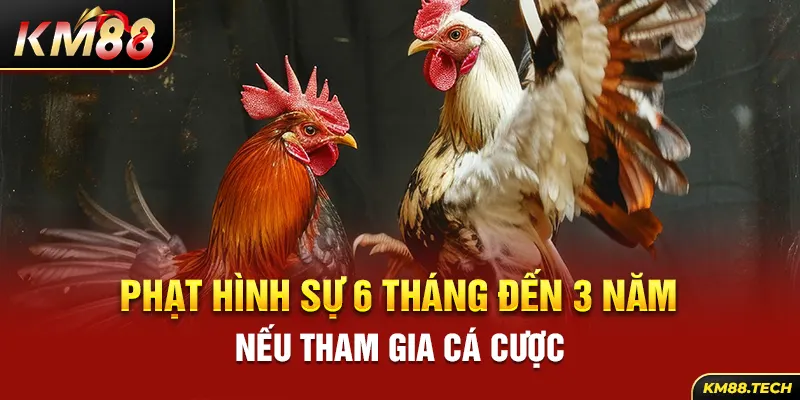 Phạt hình sự 6 tháng đến 3 năm nếu tham gia cá cược 