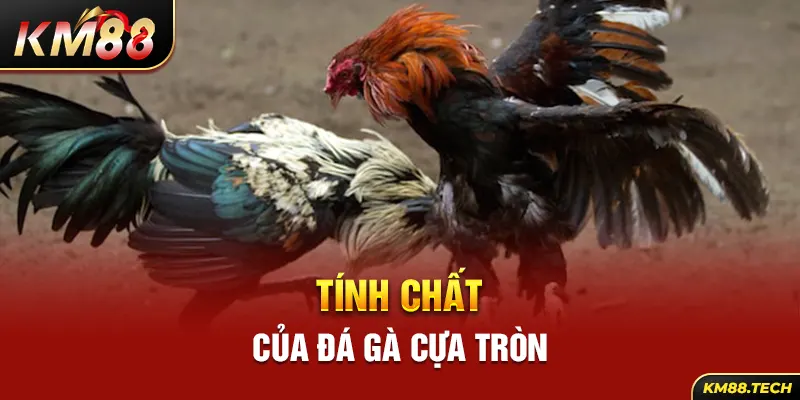 Tính chất của đá gà cựa tròn