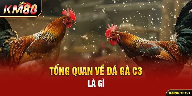 Tổng quan về đá gà C3 là gì