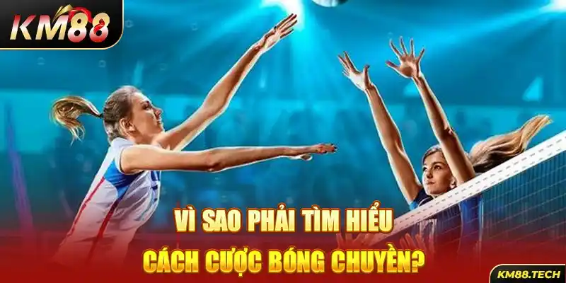 Vì sao phải tìm hiểu cách cược bóng chuyền?